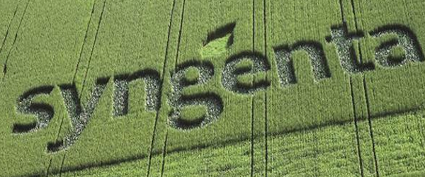 Syngenta